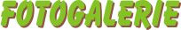Fotogalerie02